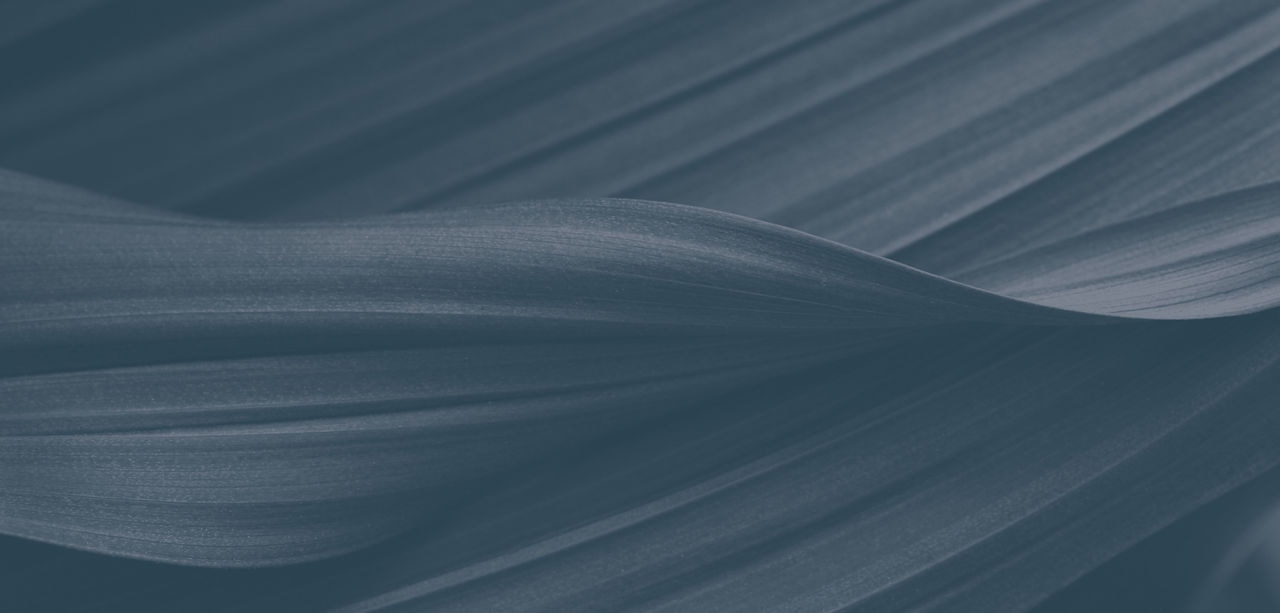 Leaves | Dow Branded Texture | Slate